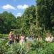 Chinesische Arzneitherapie - Chiway Studierende im Kräutergarten