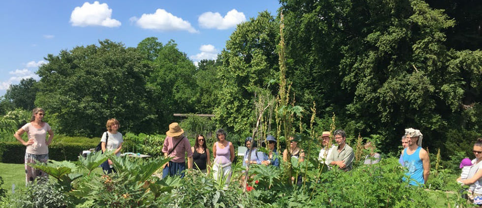 Chinesische Arzneitherapie - Chiway Studierende im Kräutergarten
